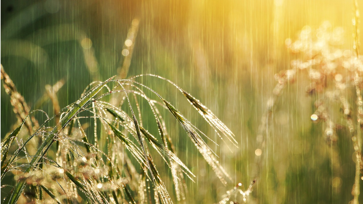 Faire la pluie et le beau temps