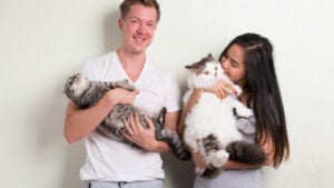 Quiz des chats