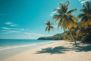 Sable blanc, mer turquoise et palmiers verdoyants
