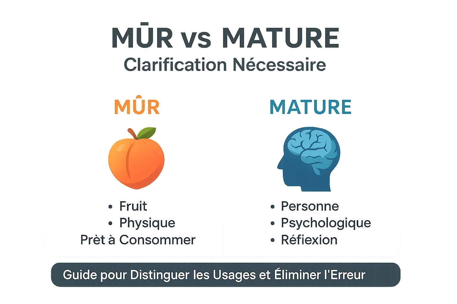 Comparaison visuelle entre mûr et mature
